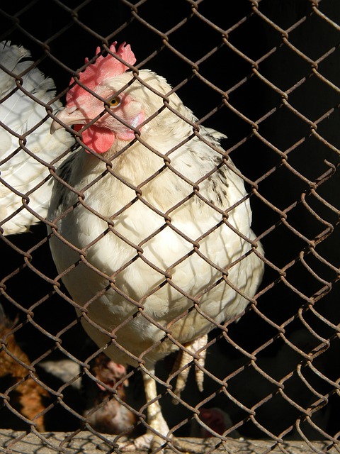 现象提供了 现象提供了