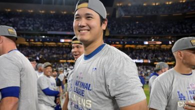 球迷的支持 球迷的支持