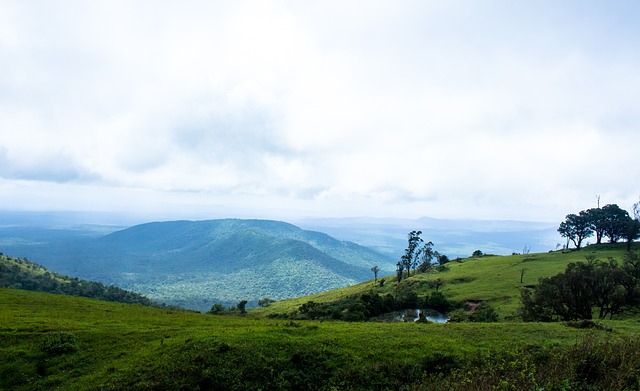 参考模板 参考模板