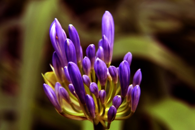 背后更是他 背后更是他