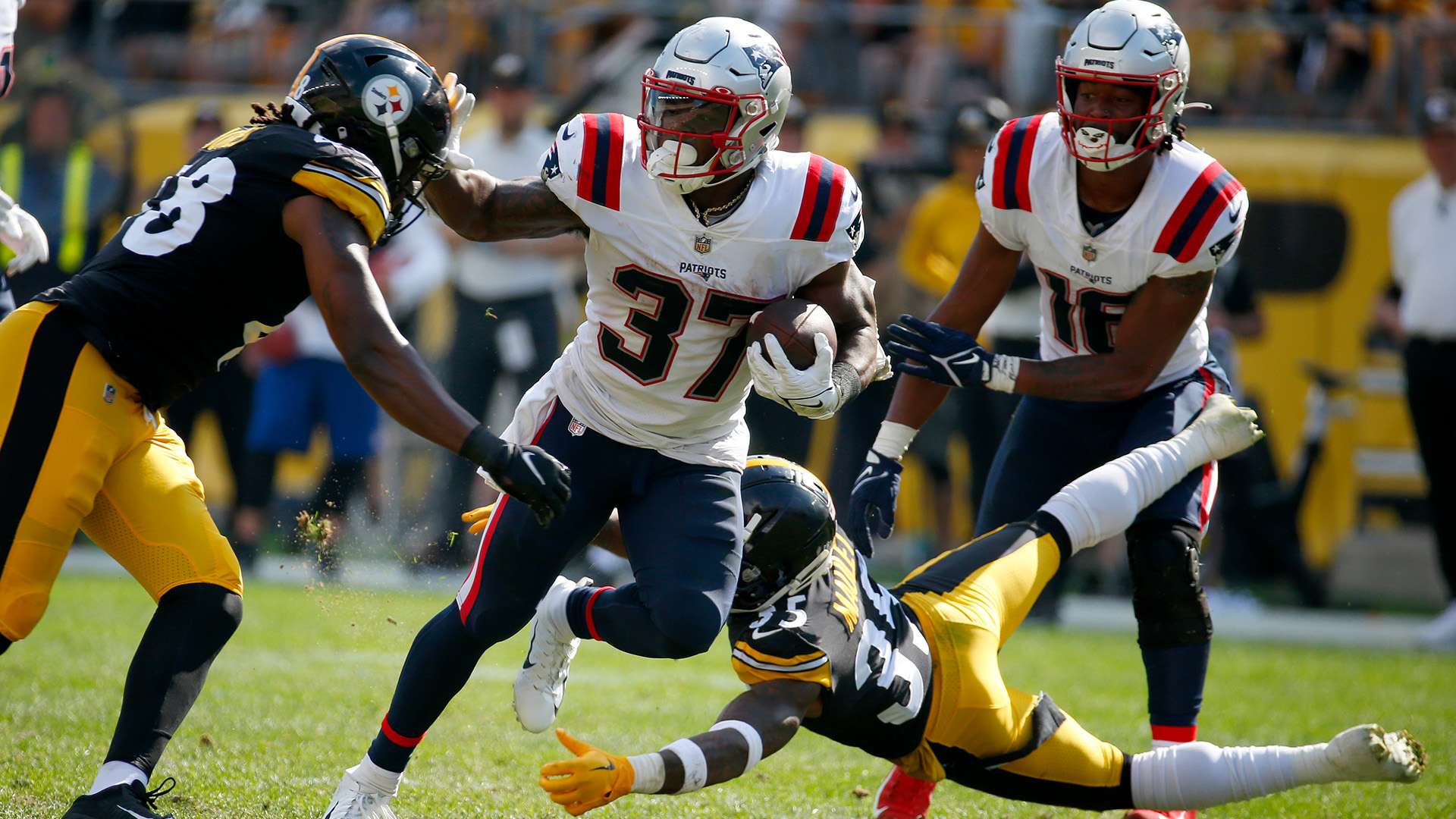 能会改变帕 能会改变帕